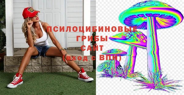 мяу мяу мука Алзамай