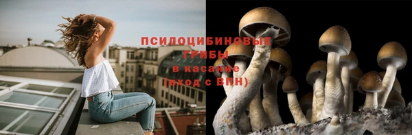 мяу мяу мука Алзамай