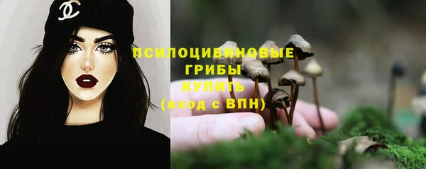 мяу мяу кристалл Няндома