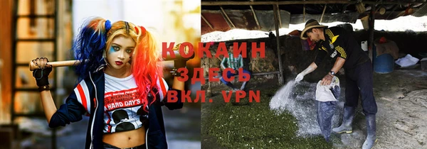 мяу мяу мука Алзамай