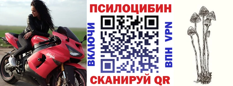 Псилоцибиновые грибы Magic Shrooms Оханск