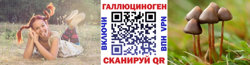 даркнет официальный сайт  купить наркоту  Оханск  Галлюциногенные грибы Magic Shrooms 